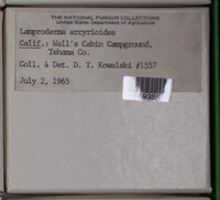 Image Associated With the Occurence